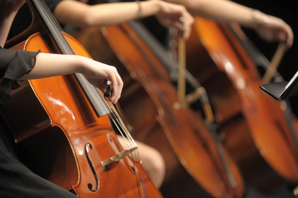 A group of musicians is playing cello together in a performance.