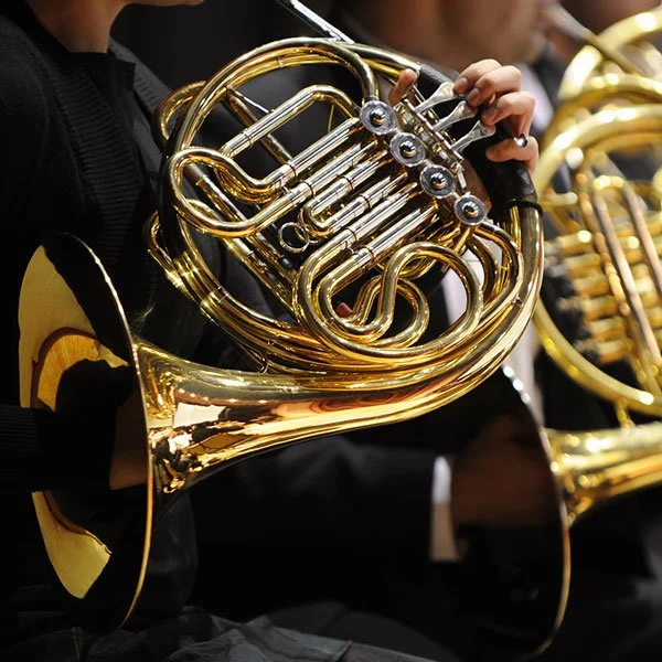 A group of musicians is playing French horn during a performance.