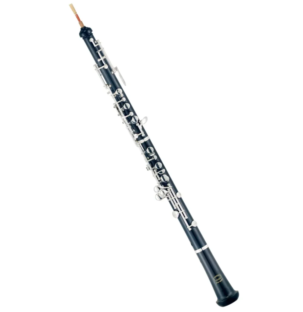 This is an oboe, a "double reed" version of the clarinet.
